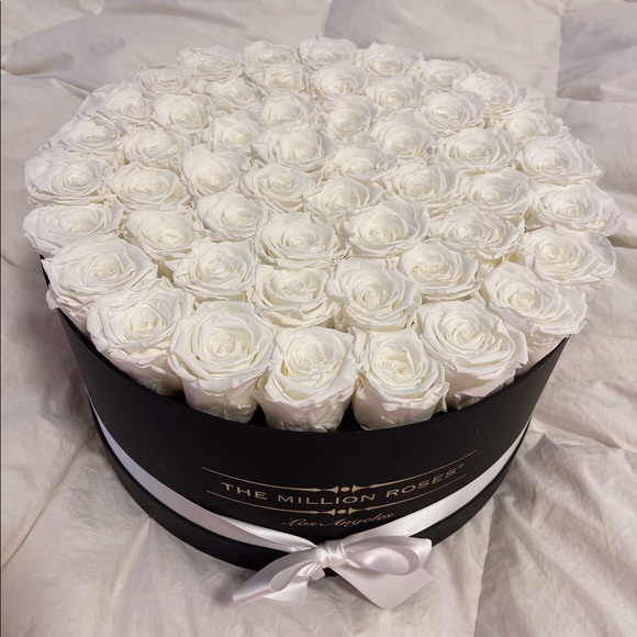 Preserved White Roses in Black Hatbox - Picture 5 of 8